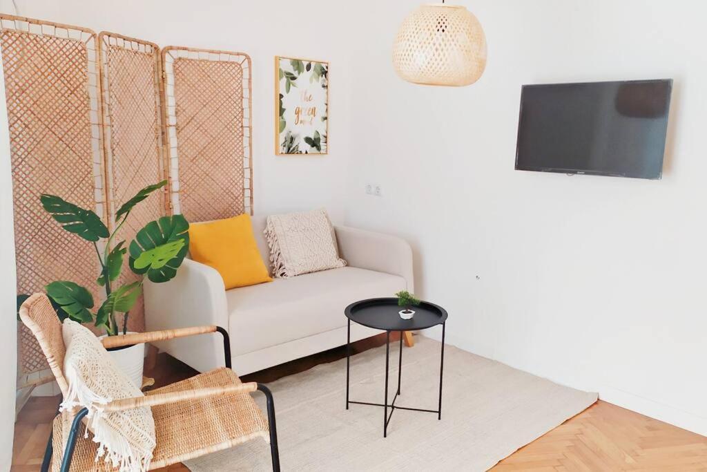 Sunny Two-Bedroom Apartment Next To Panathenaic Stadium Kültér fotó