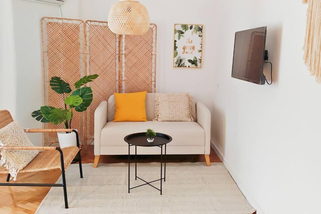 Sunny Two-Bedroom Apartment Next To Panathenaic Stadium Kültér fotó